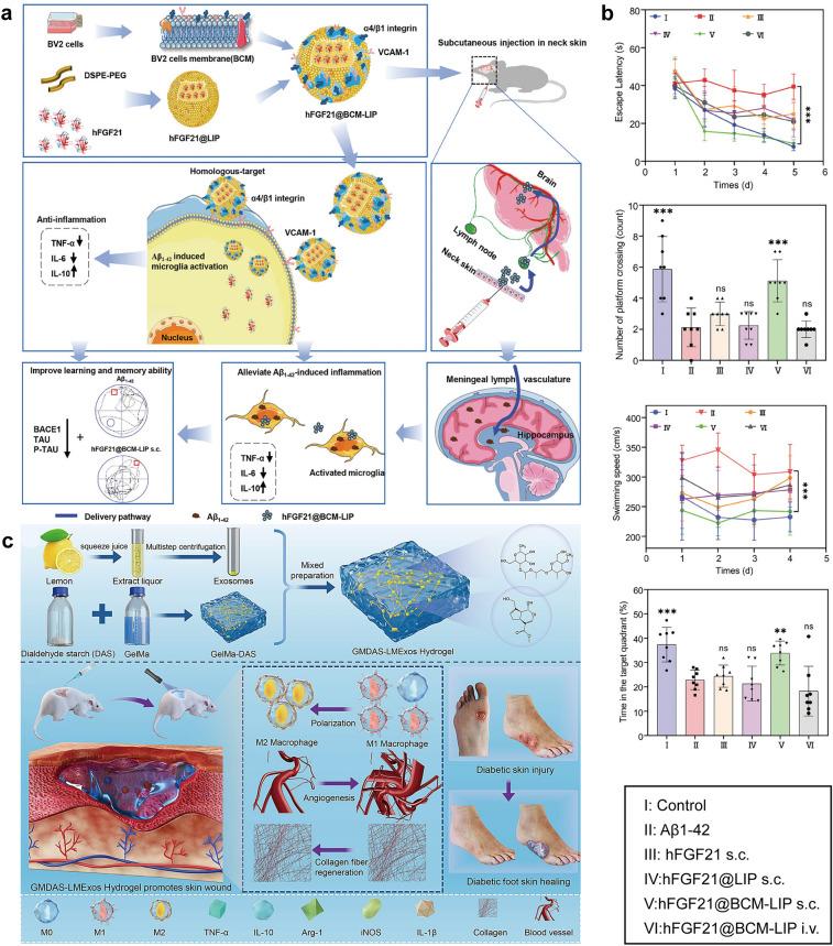 https://cdn.ncbi.nlm.nih.gov/pmc/blobs/fc30/12229986/25fabb81d0f5/40820_2025_1829_Fig10_HTML.jpg