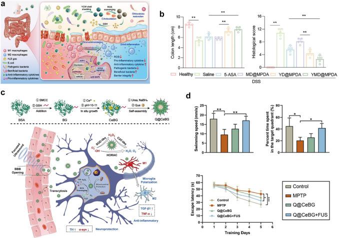 https://cdn.ncbi.nlm.nih.gov/pmc/blobs/fc30/12229986/98f6897f3199/40820_2025_1829_Fig3_HTML.jpg