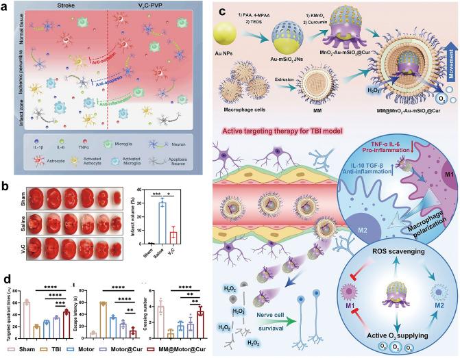 https://cdn.ncbi.nlm.nih.gov/pmc/blobs/fc30/12229986/9fcb9f54ca46/40820_2025_1829_Fig7_HTML.jpg