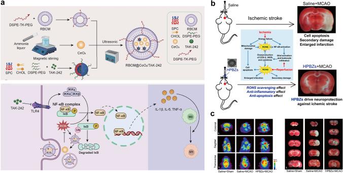 https://cdn.ncbi.nlm.nih.gov/pmc/blobs/fc30/12229986/c3f6d00d0be6/40820_2025_1829_Fig5_HTML.jpg
