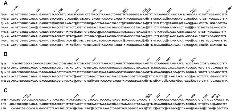 https://cdn.ncbi.nlm.nih.gov/pmc/blobs/fc31/3418243/44196d5849dc/pone.0042880.g001.jpg