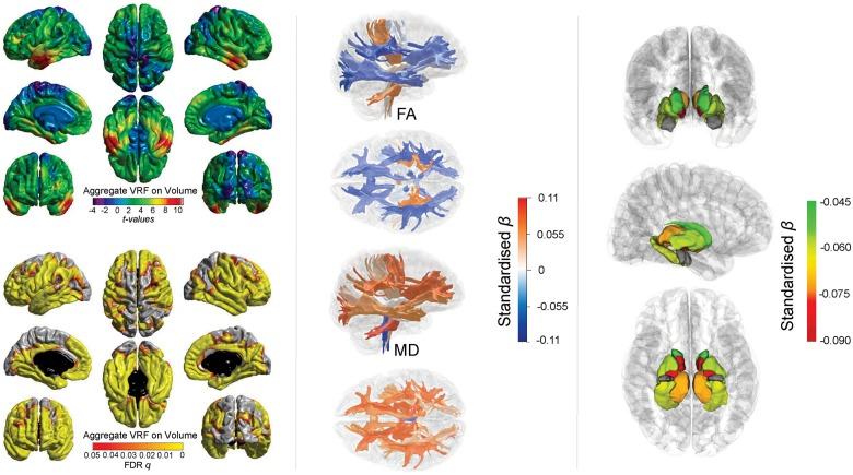 https://cdn.ncbi.nlm.nih.gov/pmc/blobs/fc33/6642726/32ab8fb9097a/ehz100f2.jpg