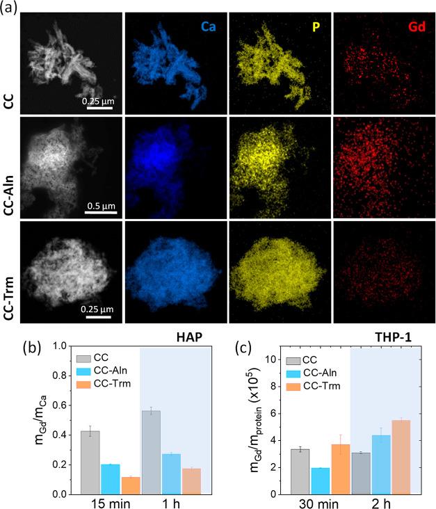 https://cdn.ncbi.nlm.nih.gov/pmc/blobs/fc34/10900527/b989238a7b15/nn3c03523_0006.jpg