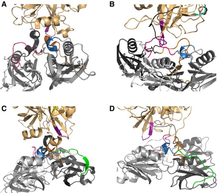 https://cdn.ncbi.nlm.nih.gov/pmc/blobs/fc34/6916417/9ec875e01793/JTH-17-2047-g004.jpg