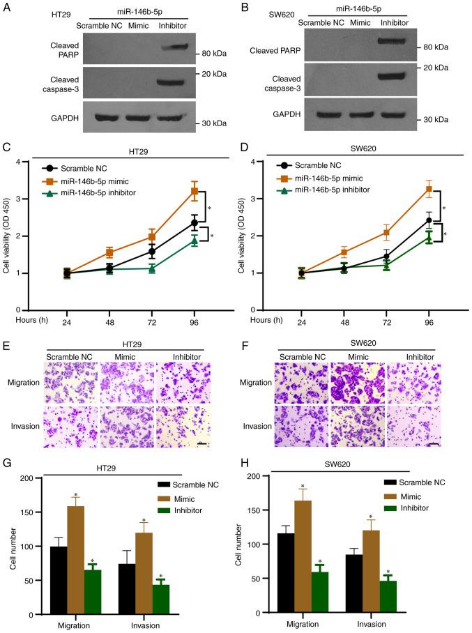 https://cdn.ncbi.nlm.nih.gov/pmc/blobs/fc34/8815033/4090f383fc84/etm-23-03-11155-g01.jpg
