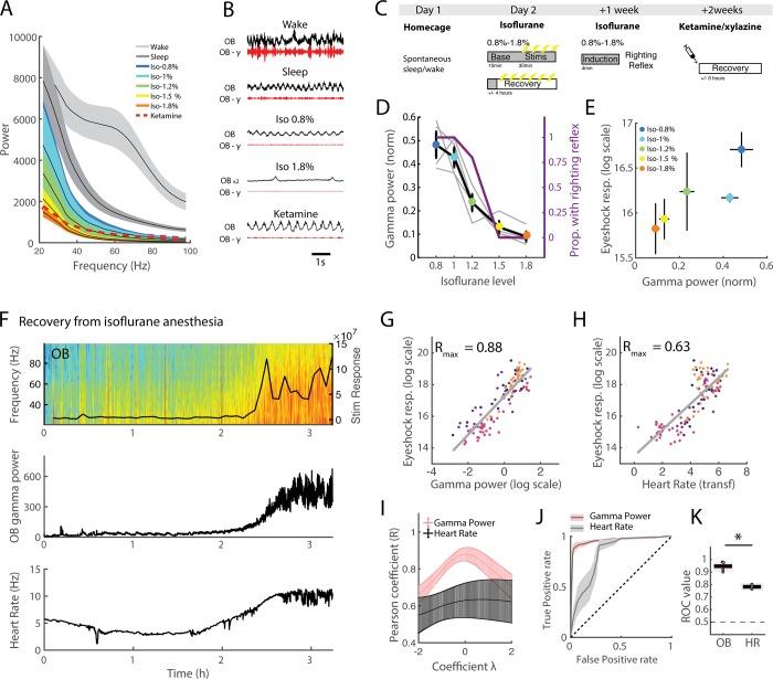 https://cdn.ncbi.nlm.nih.gov/pmc/blobs/fc36/6224033/ce7578dab517/pbio.2005458.g009.jpg