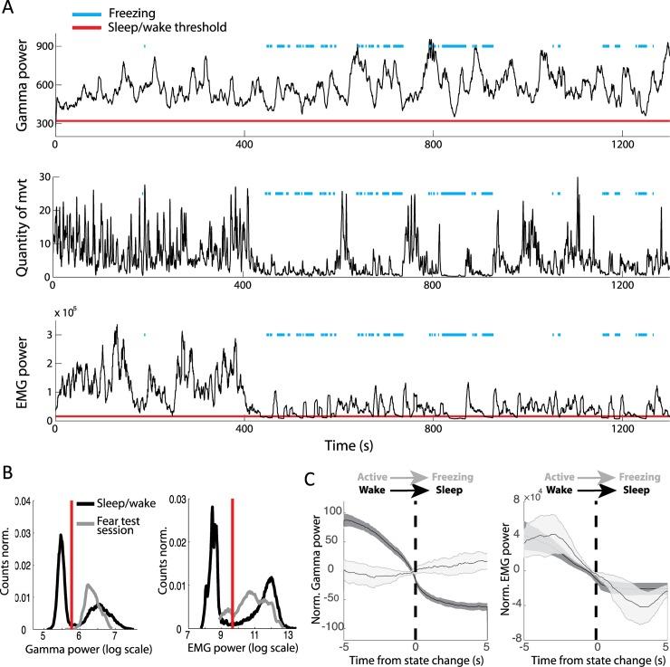 https://cdn.ncbi.nlm.nih.gov/pmc/blobs/fc36/6224033/f272caf95b60/pbio.2005458.g006.jpg