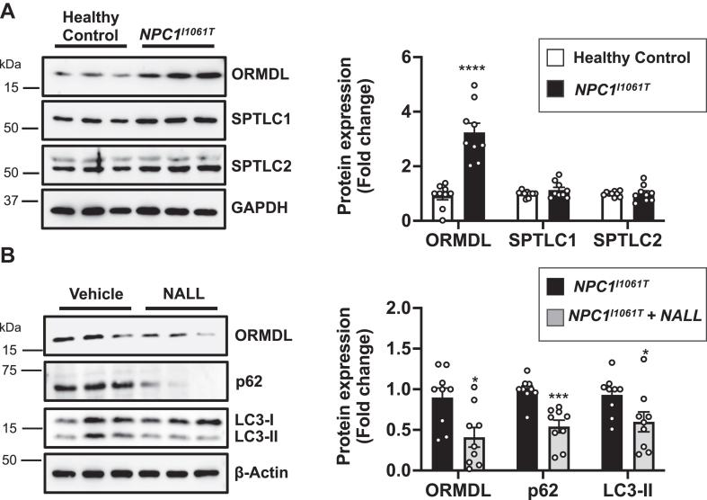 https://cdn.ncbi.nlm.nih.gov/pmc/blobs/fc37/11170278/17b87a11d690/gr8.jpg