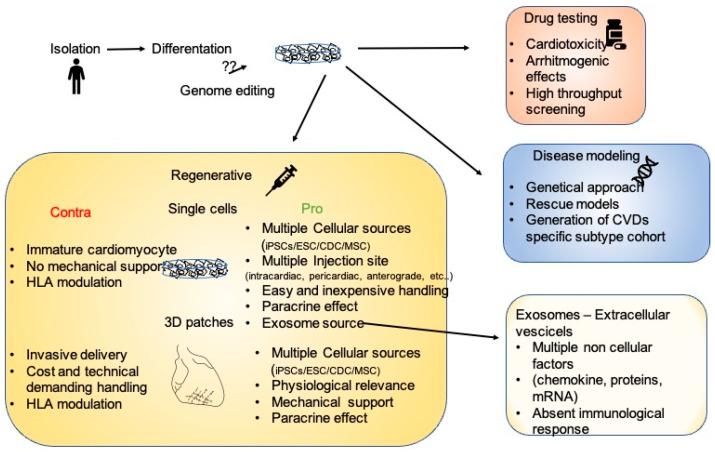 https://cdn.ncbi.nlm.nih.gov/pmc/blobs/fc37/8230331/c60dd76c1d8f/jpm-11-00529-g002.jpg