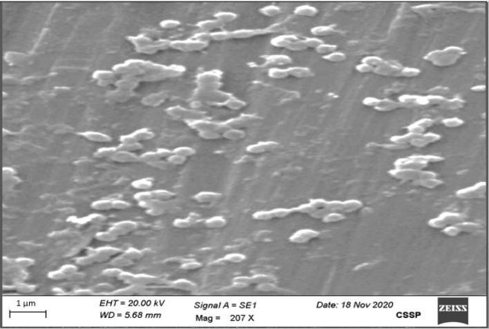 https://cdn.ncbi.nlm.nih.gov/pmc/blobs/fc39/10290721/0f678339fa38/41598_2023_37152_Fig1_HTML.jpg