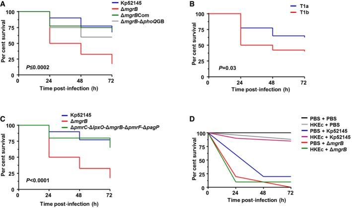 https://cdn.ncbi.nlm.nih.gov/pmc/blobs/fc3b/5376759/690fa57052c3/EMMM-9-430-g008.jpg