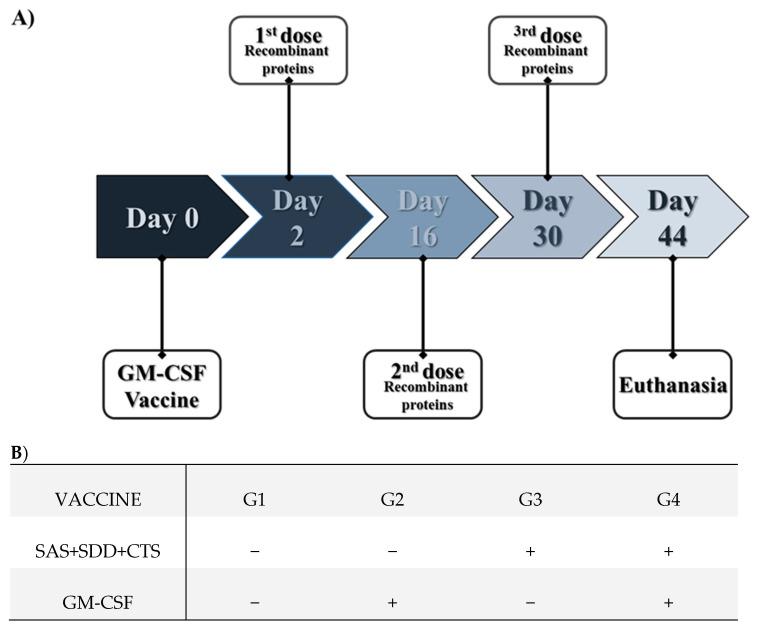 https://cdn.ncbi.nlm.nih.gov/pmc/blobs/fc3f/8402413/1e97d70a24d8/vaccines-09-00899-g001.jpg