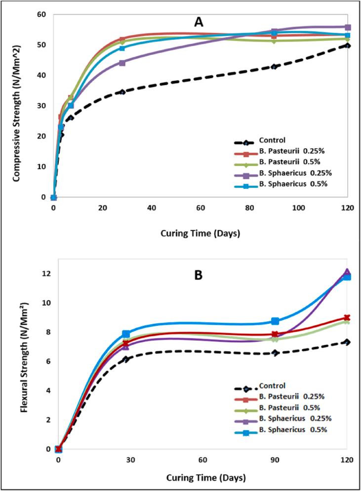 https://cdn.ncbi.nlm.nih.gov/pmc/blobs/fc40/9287183/f6ca397aedd5/gr3.jpg