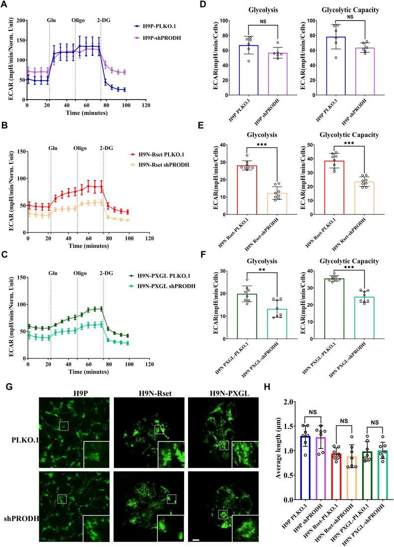 https://cdn.ncbi.nlm.nih.gov/pmc/blobs/fc42/11014864/064ee2fc6b58/44319_2024_110_Fig10_ESM.jpg