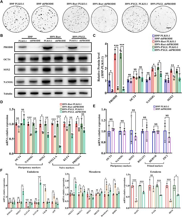 https://cdn.ncbi.nlm.nih.gov/pmc/blobs/fc42/11014864/0edadeb92600/44319_2024_110_Fig7_ESM.jpg