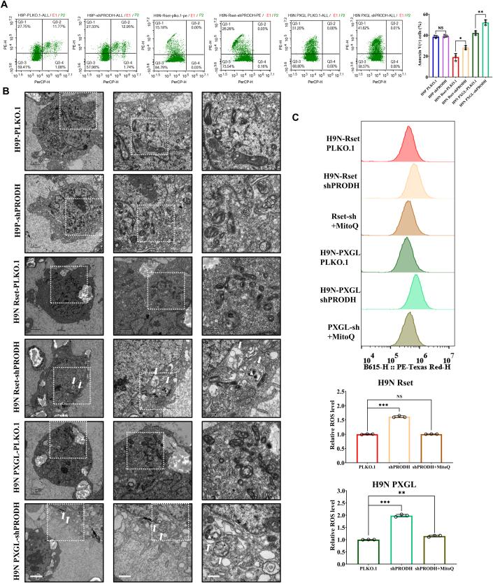 https://cdn.ncbi.nlm.nih.gov/pmc/blobs/fc42/11014864/5e21272e39ff/44319_2024_110_Fig11_ESM.jpg