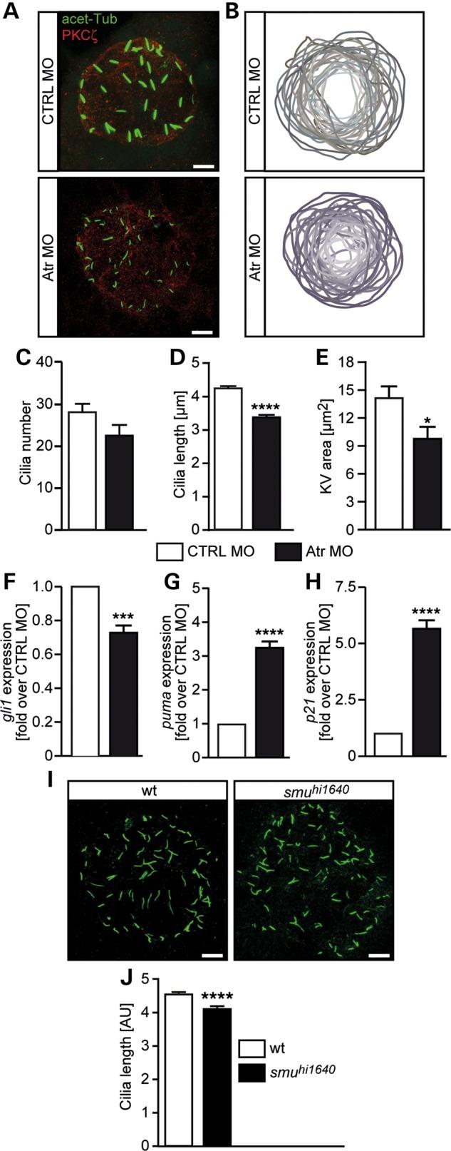 https://cdn.ncbi.nlm.nih.gov/pmc/blobs/fc42/4805311/476f80ce4d4c/ddw03403.jpg