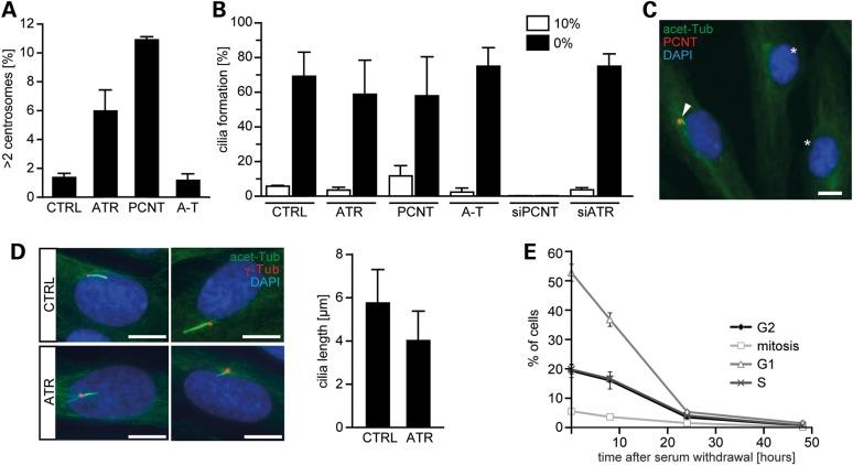https://cdn.ncbi.nlm.nih.gov/pmc/blobs/fc42/4805311/7f52f81d7605/ddw03401.jpg