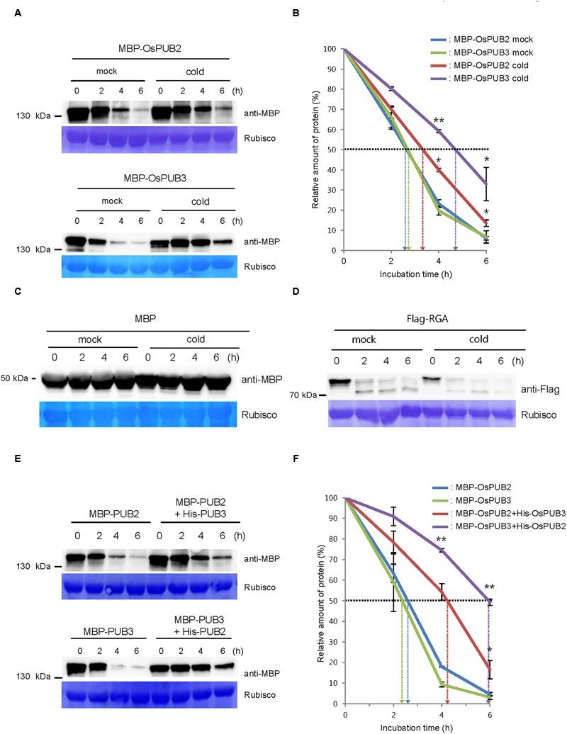https://cdn.ncbi.nlm.nih.gov/pmc/blobs/fc44/5247461/b5a09c15f5e3/fpls-08-00016-g005.jpg