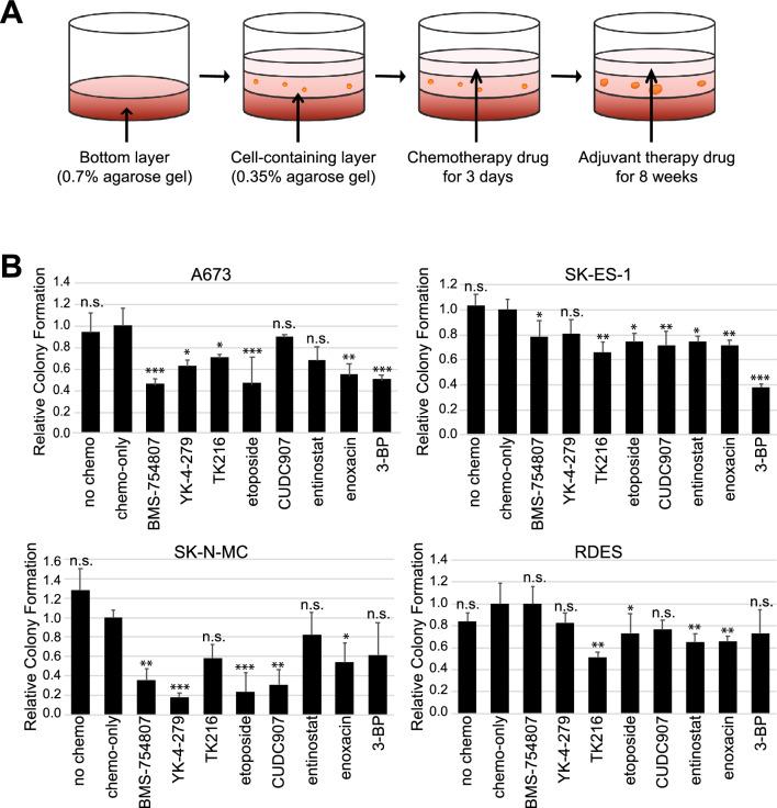 https://cdn.ncbi.nlm.nih.gov/pmc/blobs/fc45/10474113/97f7cfebd59d/41598_2023_40751_Fig3_HTML.jpg