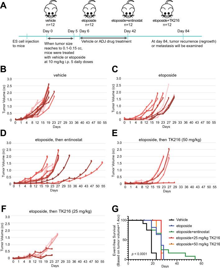 https://cdn.ncbi.nlm.nih.gov/pmc/blobs/fc45/10474113/bb4850b7392e/41598_2023_40751_Fig4_HTML.jpg