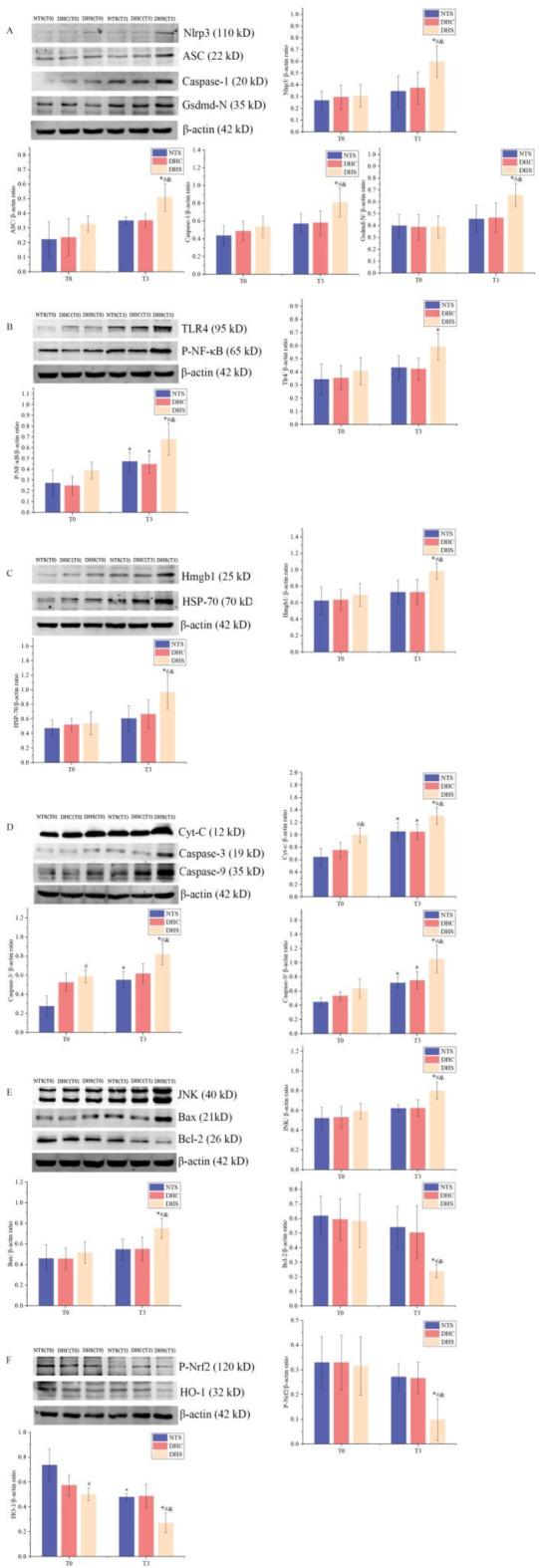 https://cdn.ncbi.nlm.nih.gov/pmc/blobs/fc45/12037748/3006536c750e/41598_2025_93853_Fig7_HTML.jpg