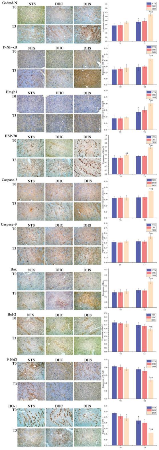 https://cdn.ncbi.nlm.nih.gov/pmc/blobs/fc45/12037748/58977c2cf251/41598_2025_93853_Fig8_HTML.jpg