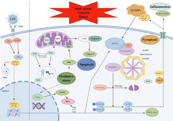https://cdn.ncbi.nlm.nih.gov/pmc/blobs/fc45/12037748/66b8379537ea/41598_2025_93853_Fig10_HTML.jpg
