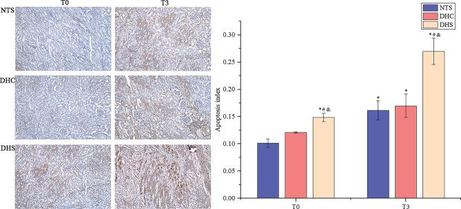 https://cdn.ncbi.nlm.nih.gov/pmc/blobs/fc45/12037748/69b012cf9c82/41598_2025_93853_Fig9_HTML.jpg