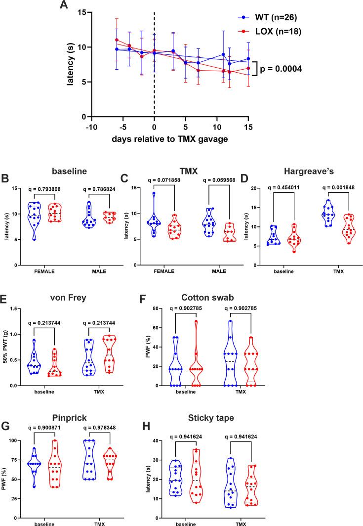 https://cdn.ncbi.nlm.nih.gov/pmc/blobs/fc47/11305673/508a20f5a71f/elife-91359-fig5-figsupp2.jpg