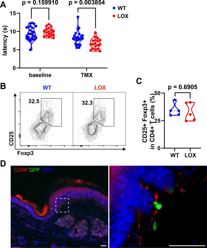 https://cdn.ncbi.nlm.nih.gov/pmc/blobs/fc47/11305673/60cbfc1af050/elife-91359-fig5.jpg