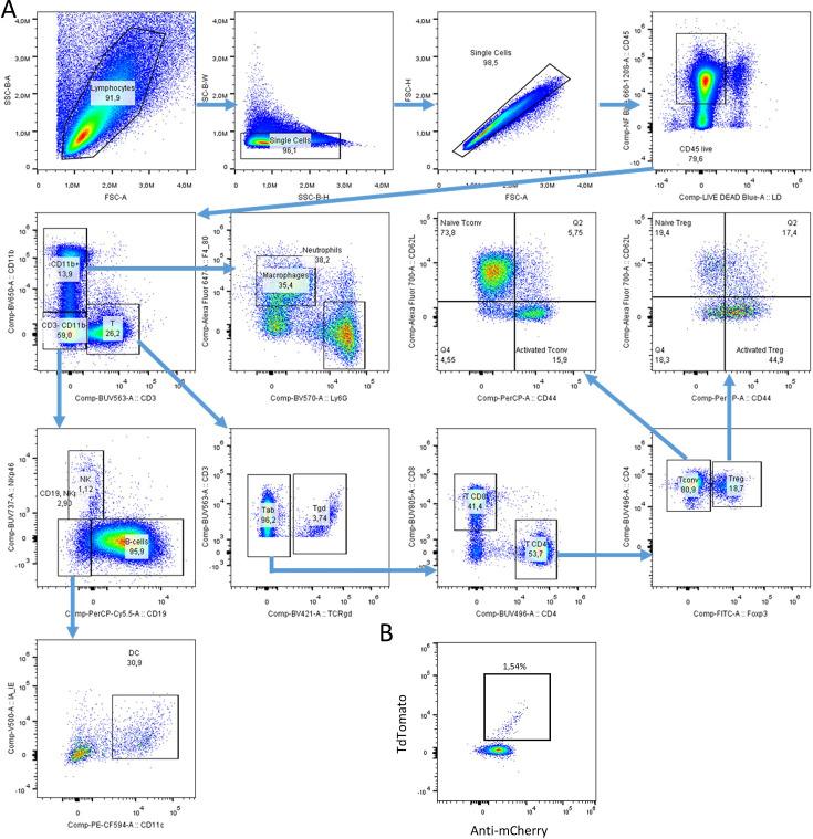 https://cdn.ncbi.nlm.nih.gov/pmc/blobs/fc47/11305673/86dc48e77654/elife-91359-fig3-figsupp1.jpg