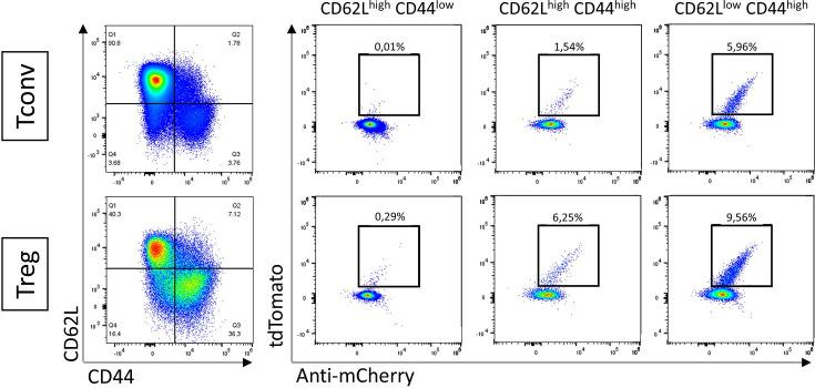 https://cdn.ncbi.nlm.nih.gov/pmc/blobs/fc47/11305673/8a7f22b2c3d5/elife-91359-fig3-figsupp2.jpg
