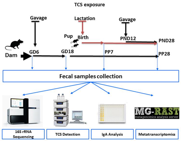 https://cdn.ncbi.nlm.nih.gov/pmc/blobs/fc48/10885032/858d03035467/jox-14-00012-g001.jpg