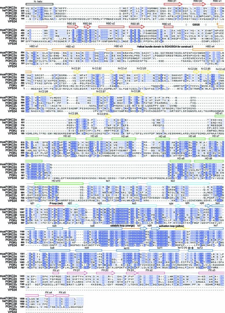 https://cdn.ncbi.nlm.nih.gov/pmc/blobs/fc49/8930771/1ac5da2b7eec/41594_2022_730_Fig8_ESM.jpg