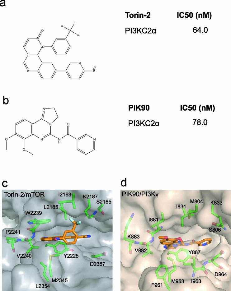 https://cdn.ncbi.nlm.nih.gov/pmc/blobs/fc49/8930771/838fa74890e3/41594_2022_730_Fig10_ESM.jpg