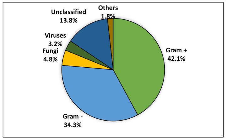 https://cdn.ncbi.nlm.nih.gov/pmc/blobs/fc49/9394251/720e6c5c342b/diagnostics-12-01800-g002.jpg