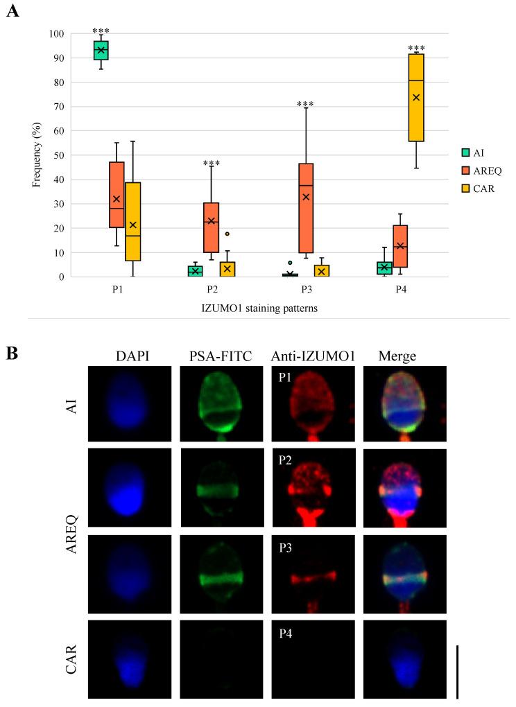 https://cdn.ncbi.nlm.nih.gov/pmc/blobs/fc4c/10669769/fb8db70032e6/biomedicines-11-02872-g003.jpg
