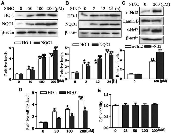 https://cdn.ncbi.nlm.nih.gov/pmc/blobs/fc4c/8097210/49f8b03708fc/etm-21-06-10079-g01.jpg