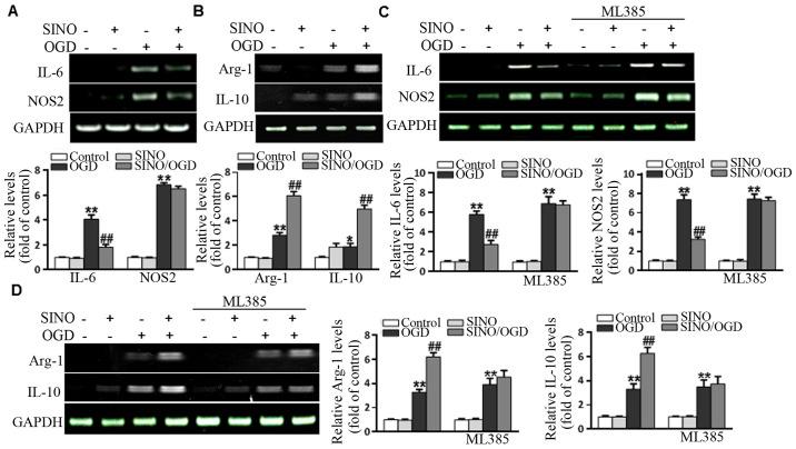 https://cdn.ncbi.nlm.nih.gov/pmc/blobs/fc4c/8097210/9b466b7aaf6a/etm-21-06-10079-g03.jpg