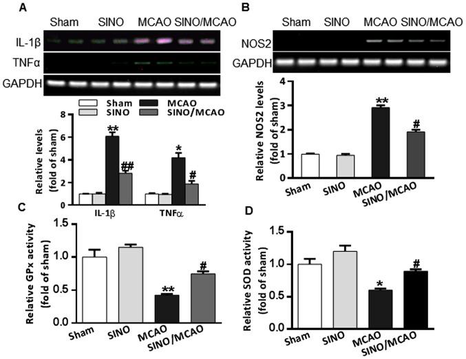 https://cdn.ncbi.nlm.nih.gov/pmc/blobs/fc4c/8097210/e71918fe3526/etm-21-06-10079-g02.jpg