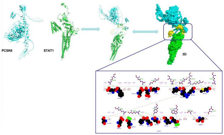 https://cdn.ncbi.nlm.nih.gov/pmc/blobs/fc4e/10258034/4b7312e5a3a8/aging-15-204739-g005.jpg