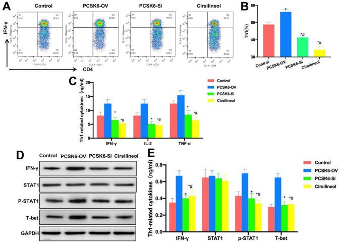 https://cdn.ncbi.nlm.nih.gov/pmc/blobs/fc4e/10258034/536def614956/aging-15-204739-g004.jpg