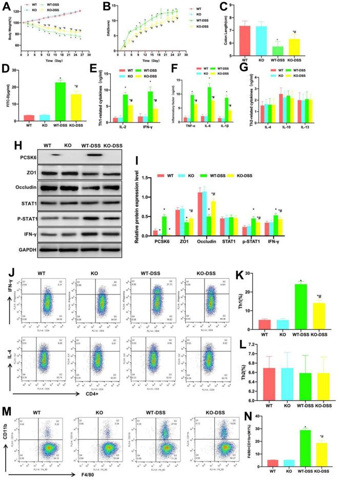 https://cdn.ncbi.nlm.nih.gov/pmc/blobs/fc4e/10258034/54cafe47cb0a/aging-15-204739-g001.jpg