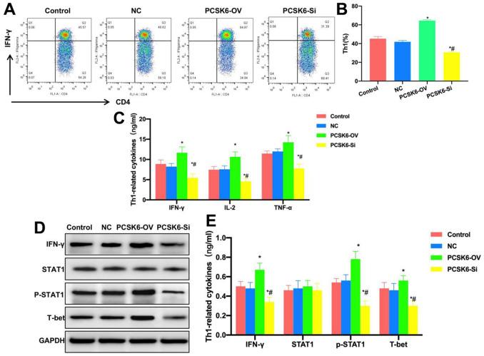 https://cdn.ncbi.nlm.nih.gov/pmc/blobs/fc4e/10258034/db53520b4c4c/aging-15-204739-g003.jpg