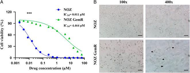 https://cdn.ncbi.nlm.nih.gov/pmc/blobs/fc4e/10923318/ea393a27a112/ms9-86-1396-g001.jpg