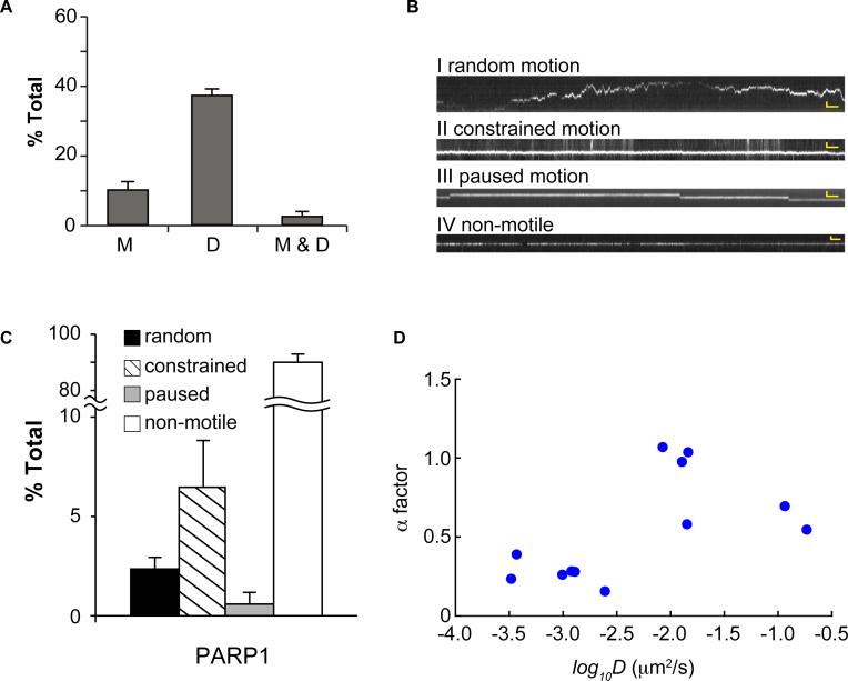 https://cdn.ncbi.nlm.nih.gov/pmc/blobs/fc4e/5728402/3cee8226b805/gkx1047fig3.jpg