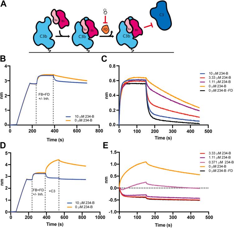https://cdn.ncbi.nlm.nih.gov/pmc/blobs/fc4f/11283208/dc9cadabbb61/gr4.jpg