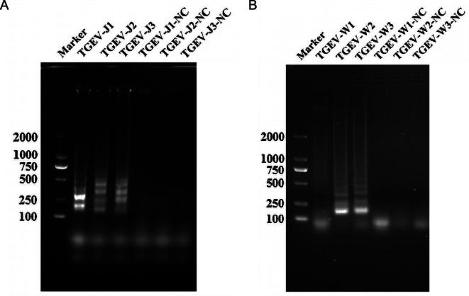 https://cdn.ncbi.nlm.nih.gov/pmc/blobs/fc53/11963519/079aa5b54173/12917_2025_4711_Fig2_HTML.jpg
