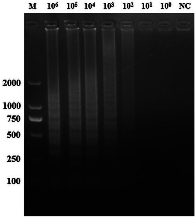 https://cdn.ncbi.nlm.nih.gov/pmc/blobs/fc53/11963519/3316397f120b/12917_2025_4711_Fig3_HTML.jpg
